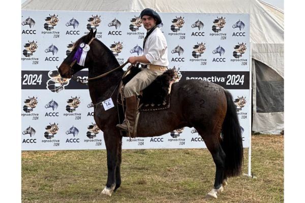 RESERVADO CAMPEÓN - DEGUATI PICHON