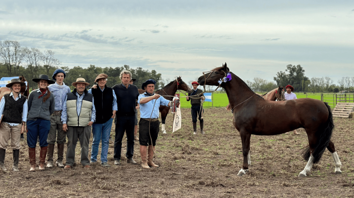 Guirita Fortune TE - Reservada Campeona